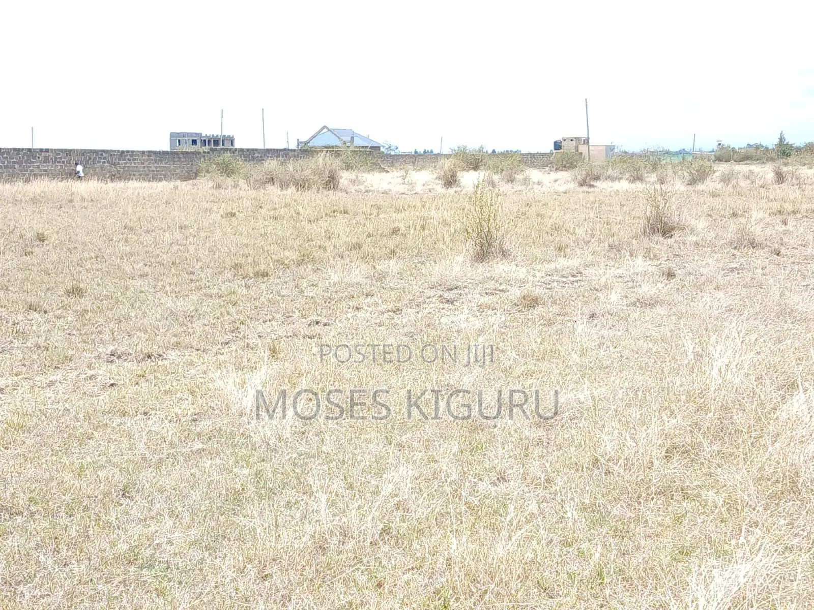 Jujafarm Road 50x100 Plots in Juja