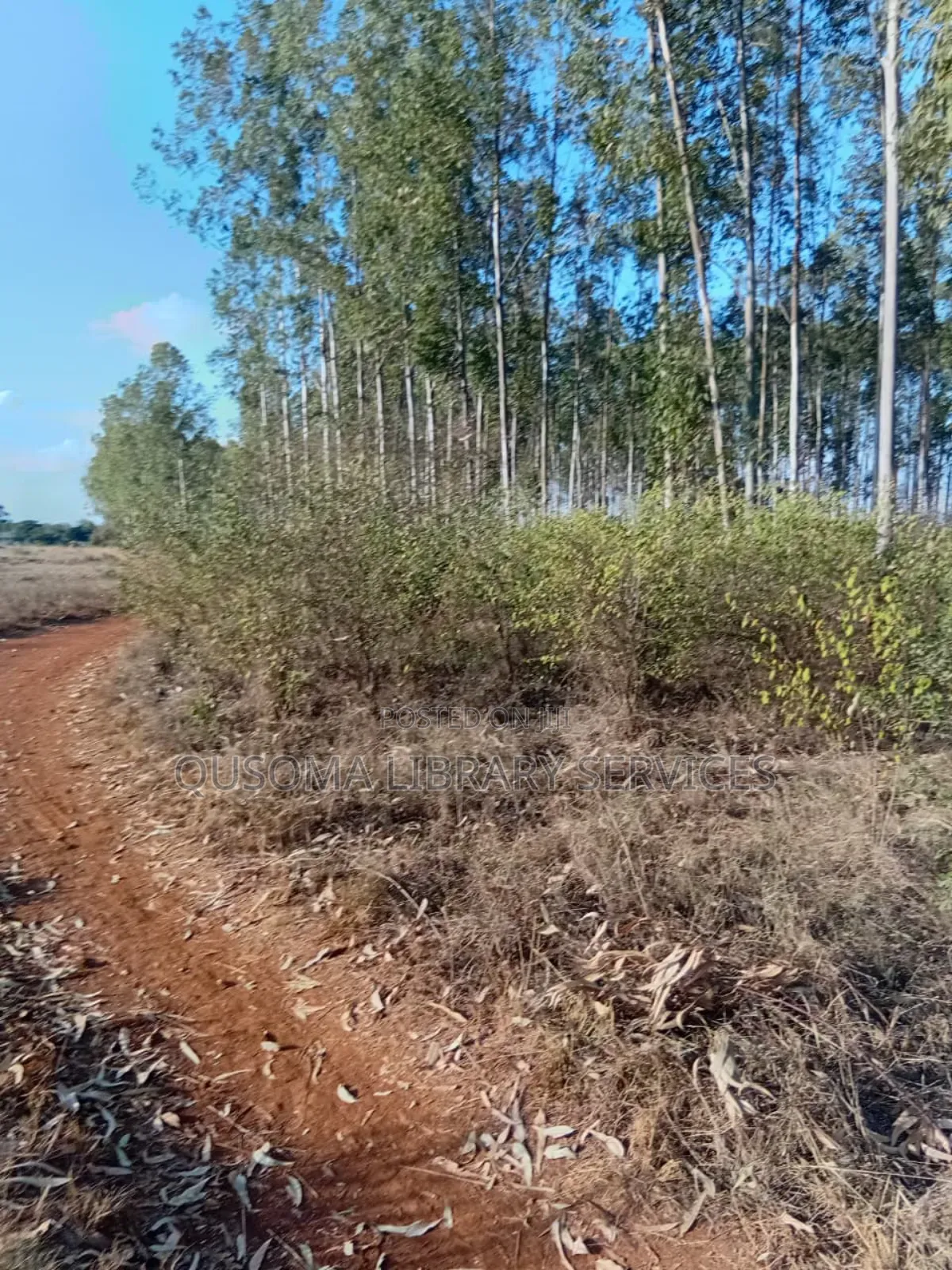 12 Acre Gems, Ongata Rongai, Opposite African Nazarene University in Ongata Rongai