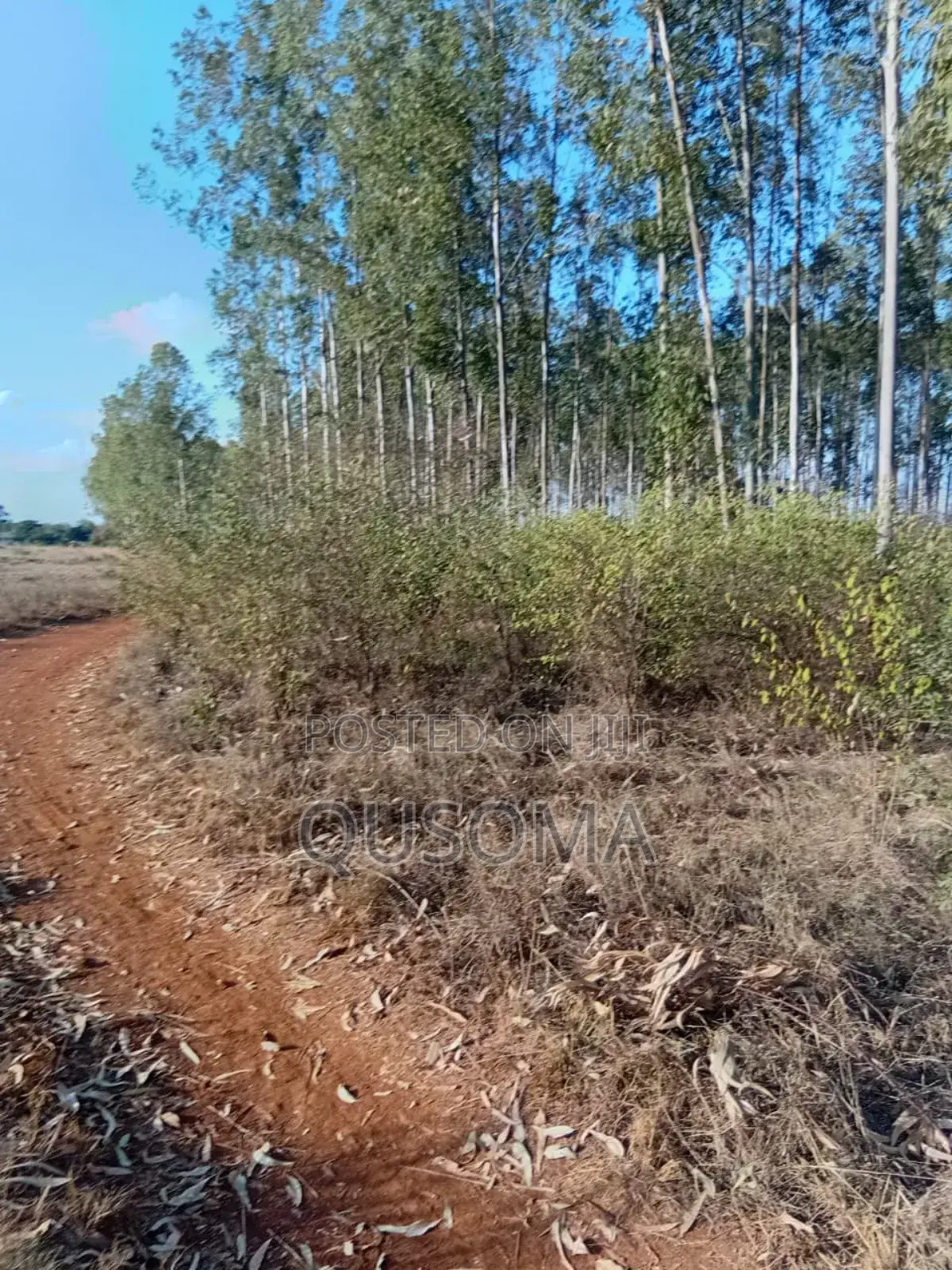 12 Acre Gems, Ongata Rongai, Opposite African Nazarene University in Ongata Rongai