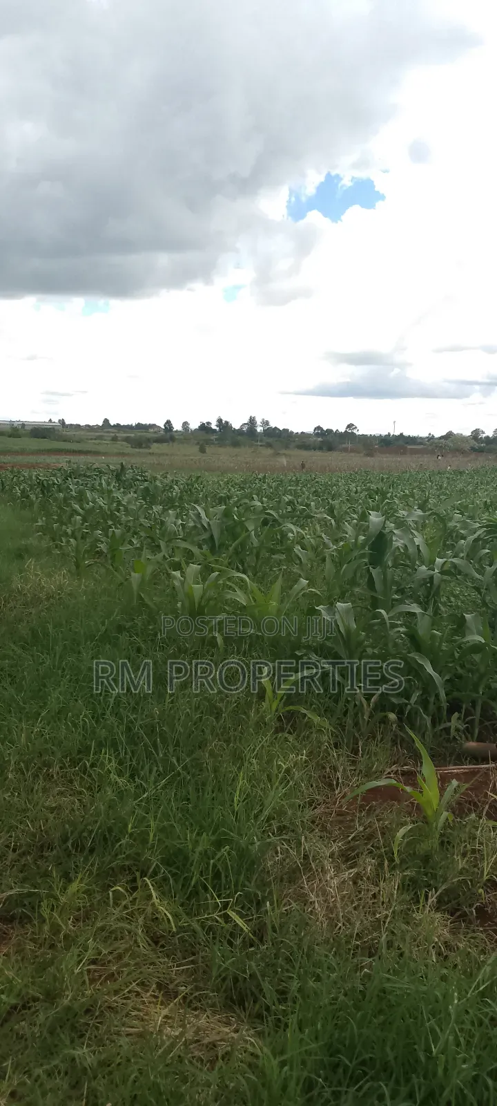 Gatanga Plots for Sale in Gatanga