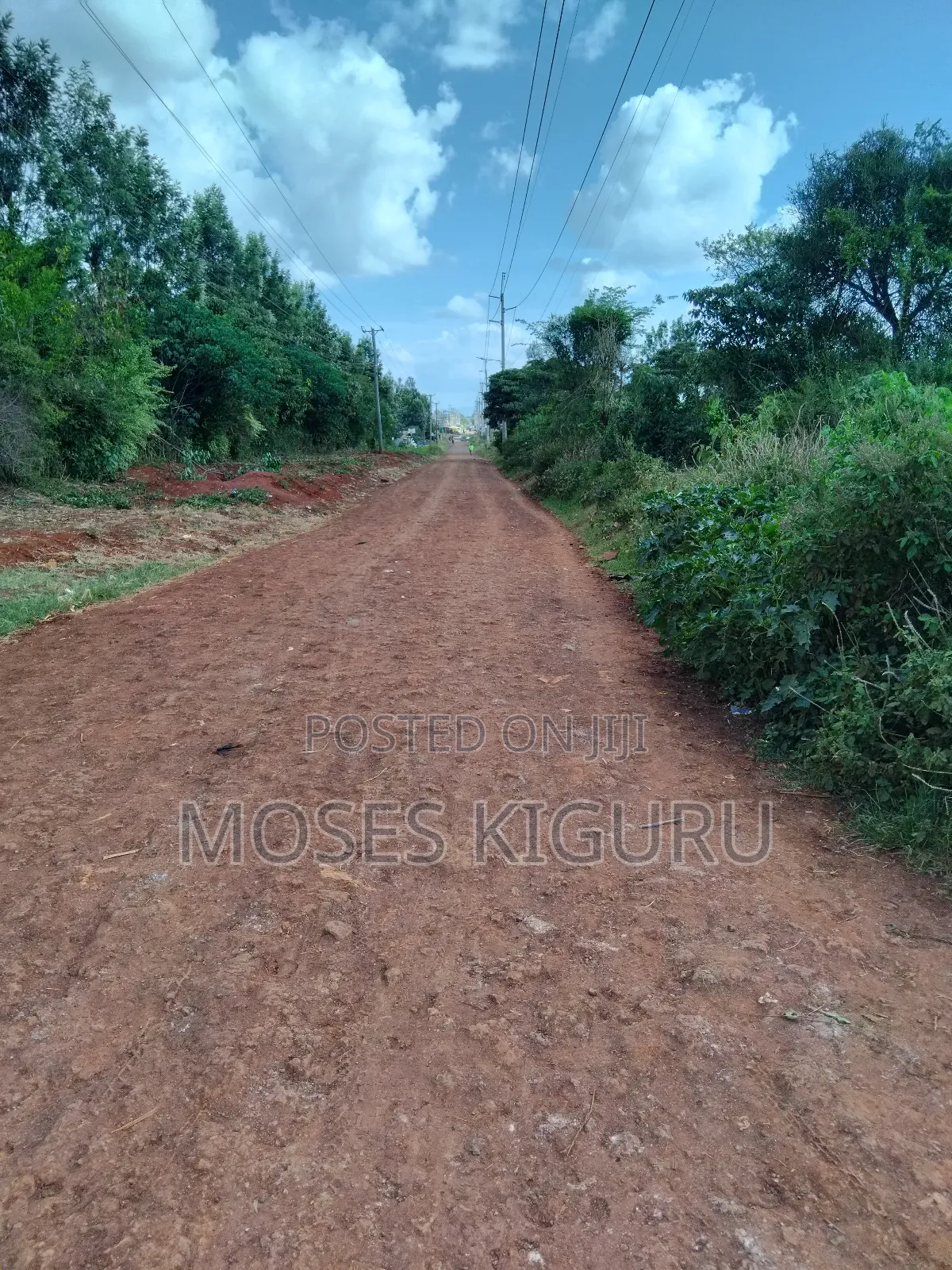 Juja 50x100 Prime Plot. in Juja