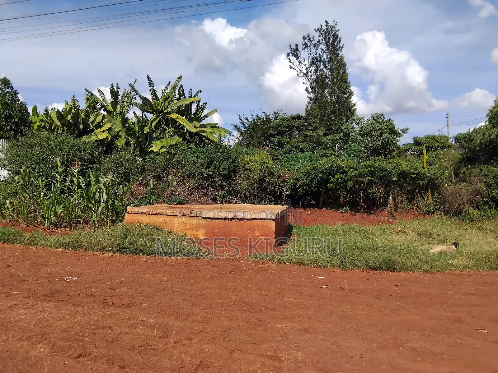 Juja 50x100 Prime Plot. in Juja