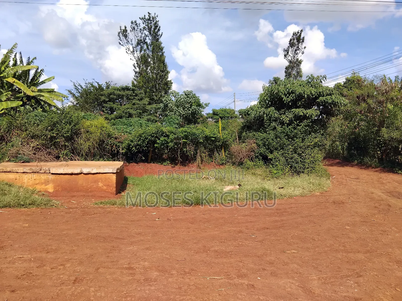 Juja 50x100 Prime Plot. in Juja