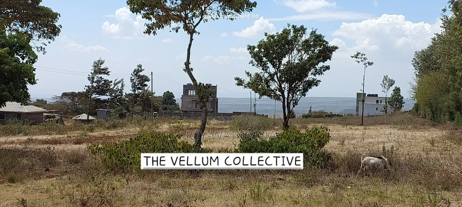 Prime 1/4 Acre View Plot for Sale on Baboon Crescent, Kibiko in Kibiku