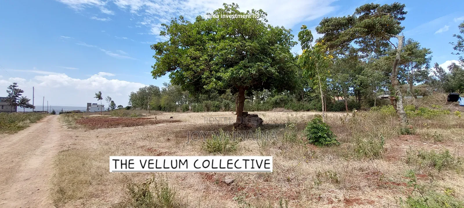 Prime 1/4 Acre View Plot for Sale on Baboon Crescent, Kibiko in Kibiku