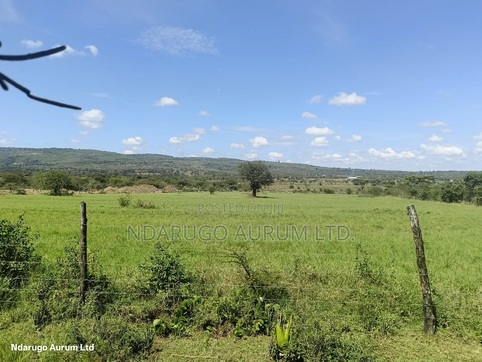 Quarr Land 5 Acres in Ravine