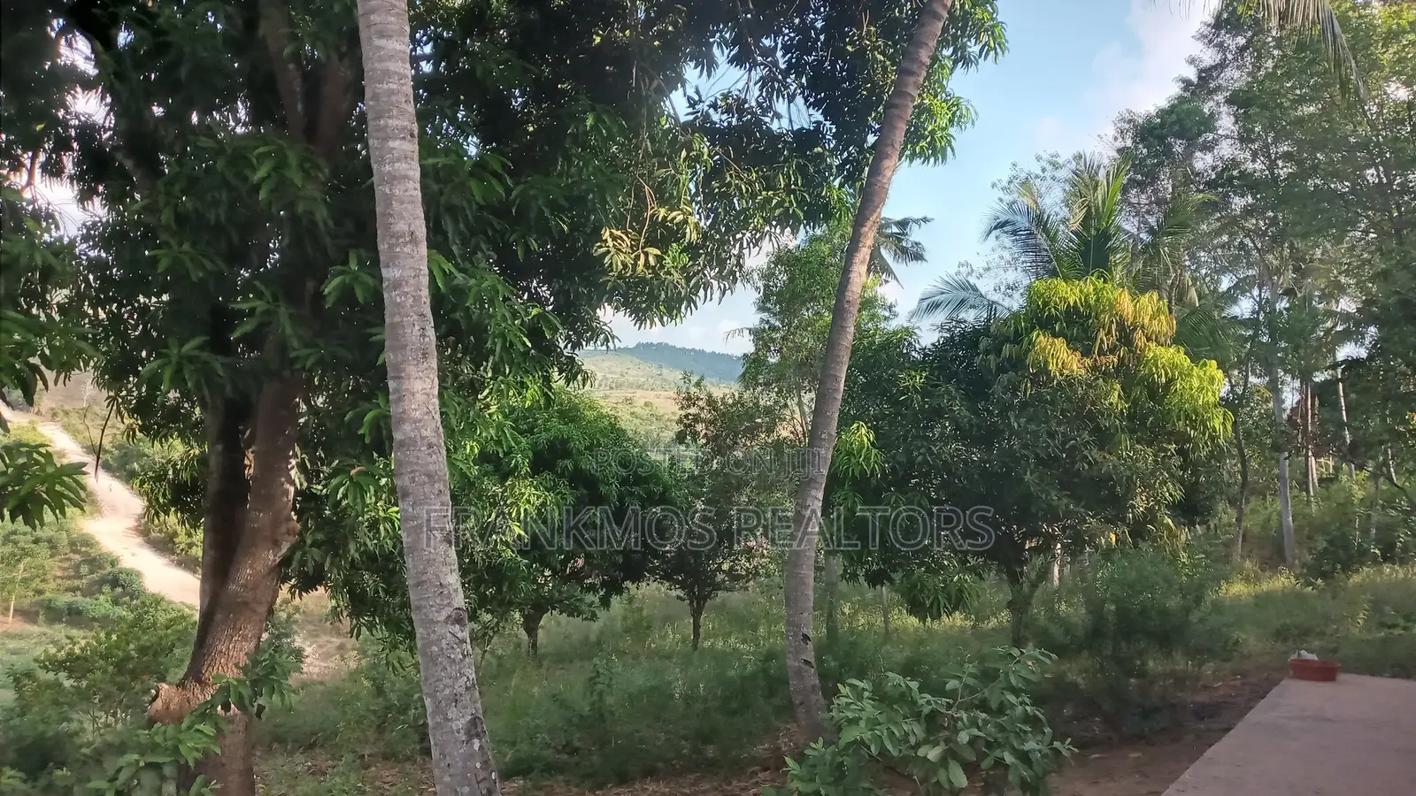 1.1 Acre Land in Gongoni Vipingo in Vipingo