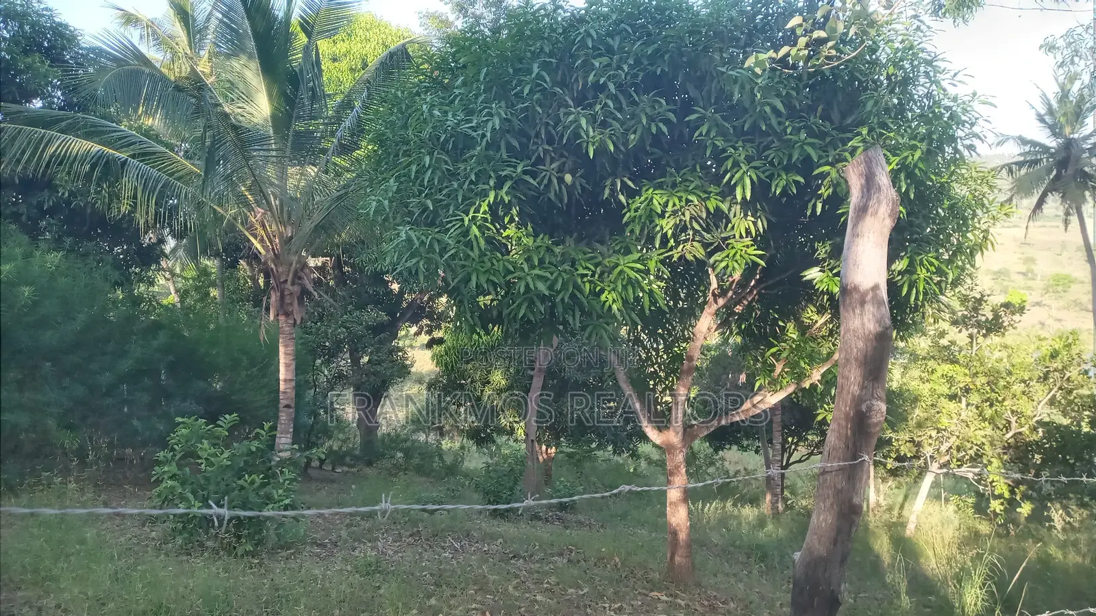 1.1 Acre Land in Gongoni Vipingo in Vipingo