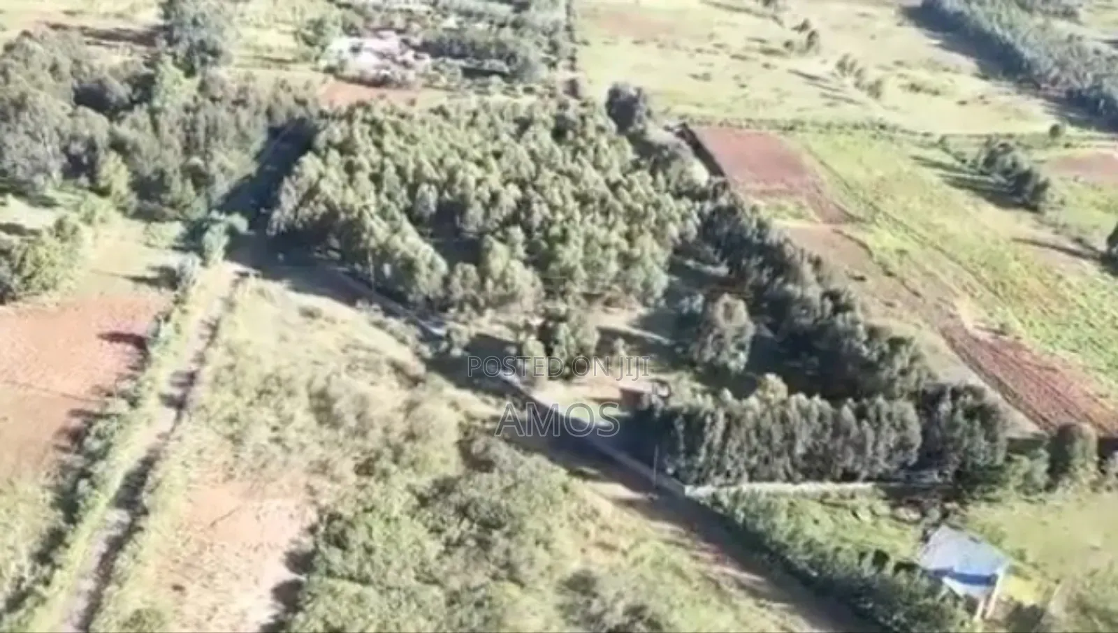 5acres in Limuru Ruamburi Ndeiya in Ndeiya