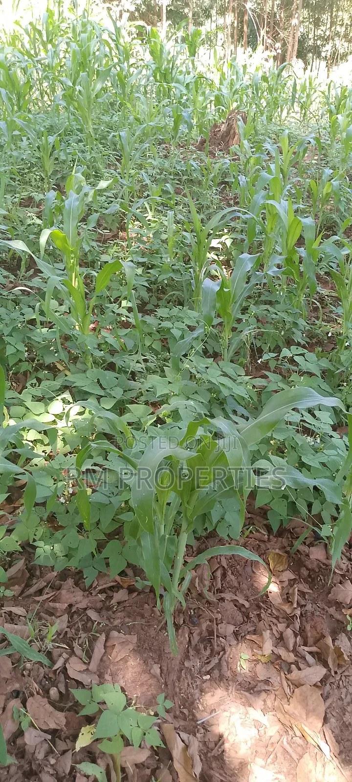 Naivasha Plots for Sale in Karai