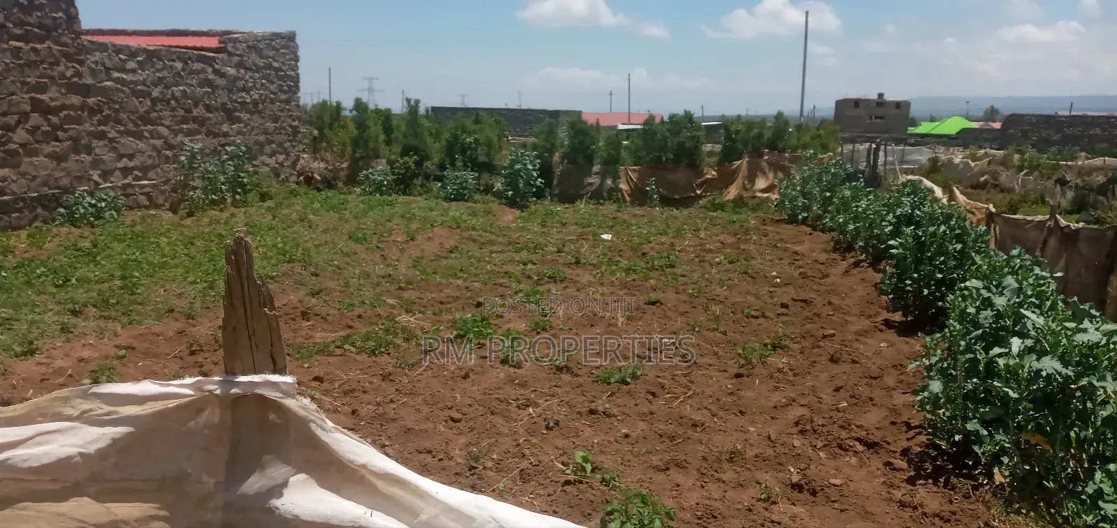 Naivasha Kayole 1/8 Plot for Sale in Naivasha