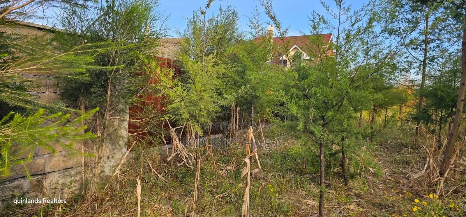 1⁄4 Plot for Sale in Eldoret Kiplombe at Kibulgeny Opposite New MTRH in Kiplombe
