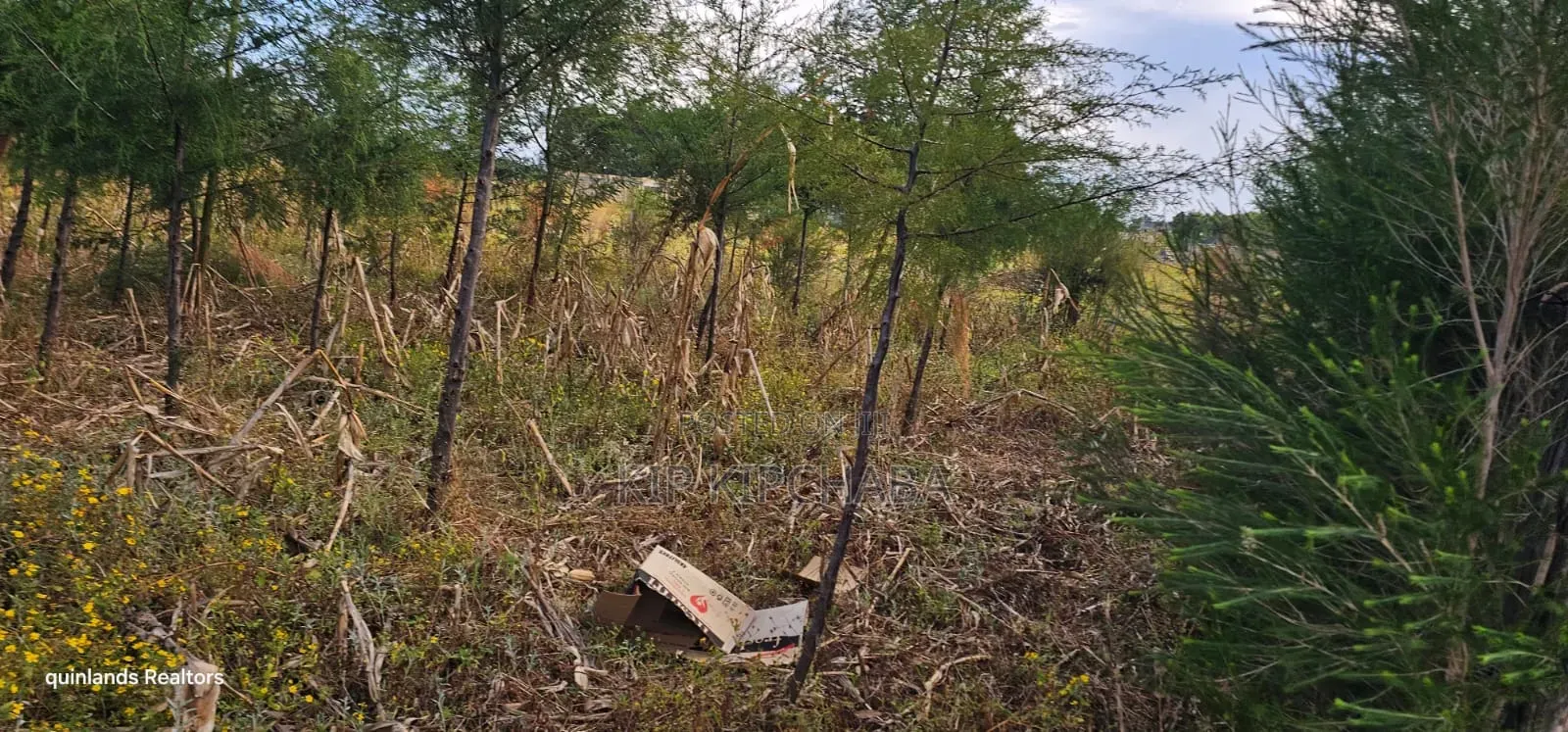 1⁄4 Plot for Sale in Eldoret Kiplombe at Kibulgeny Opposite New MTRH in Kiplombe