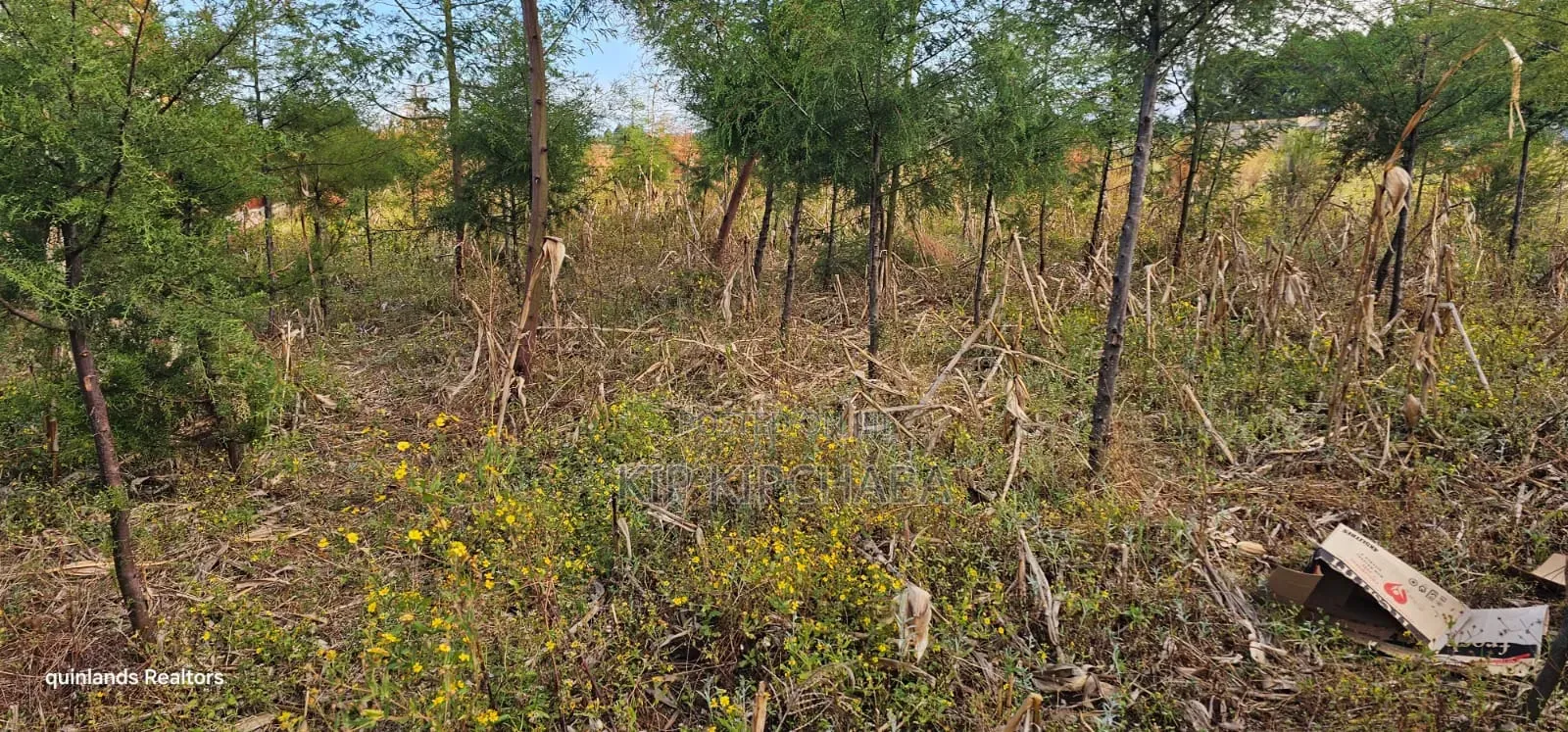 1⁄4 Plot for Sale in Eldoret Kiplombe at Kibulgeny Opposite New MTRH in Kiplombe