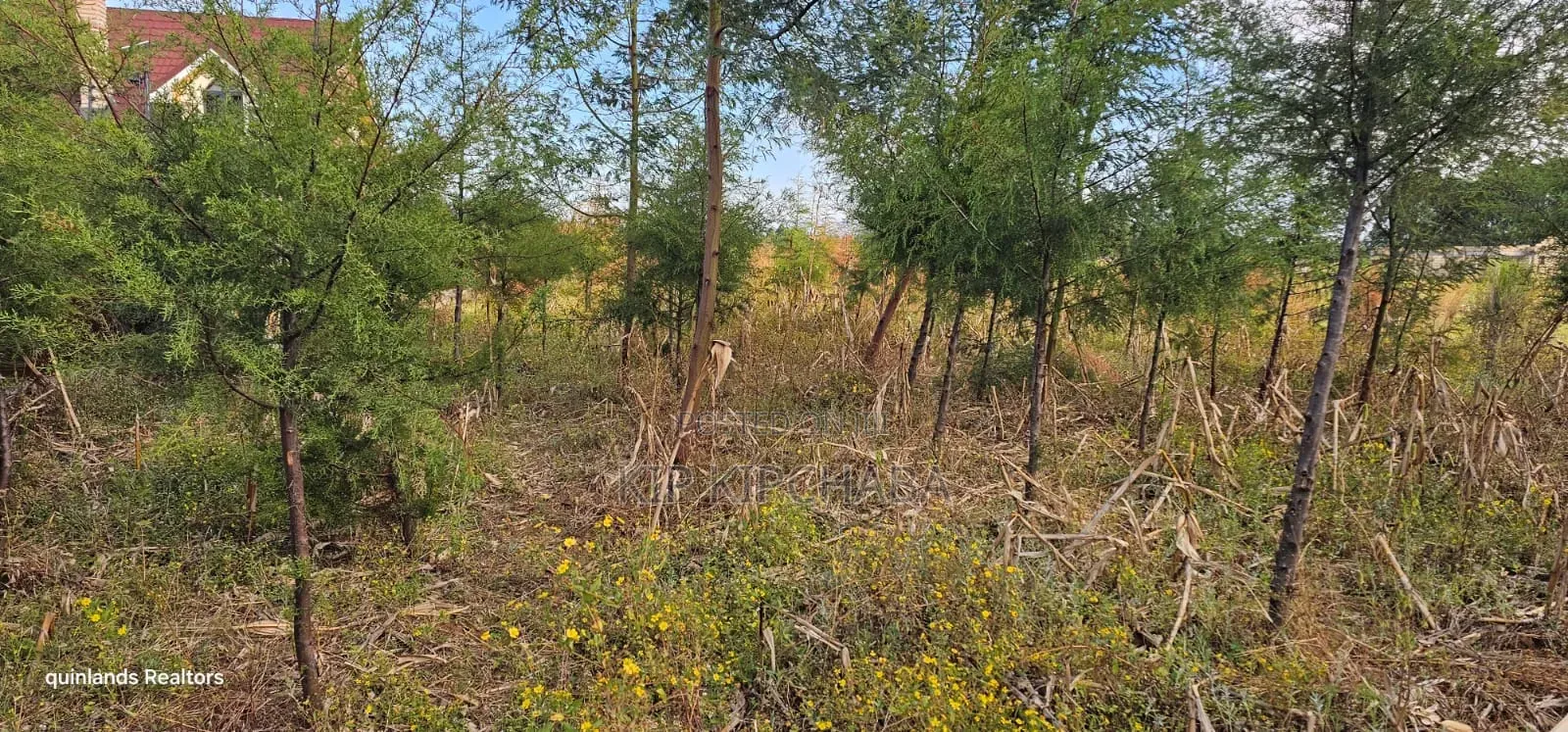 1⁄4 Plot for Sale in Eldoret Kiplombe at Kibulgeny Opposite New MTRH in Kiplombe
