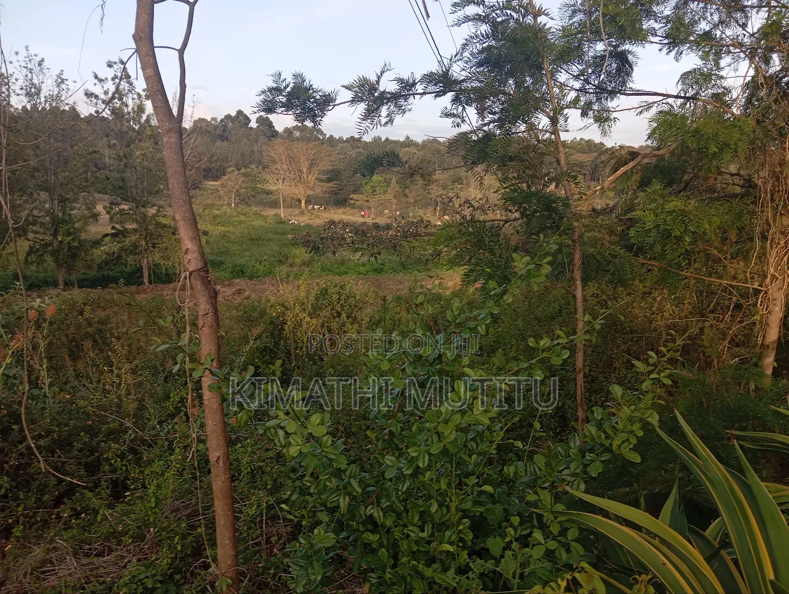 A Very Prime Residential 1 Acre Red Soil Land in Karen in Karen