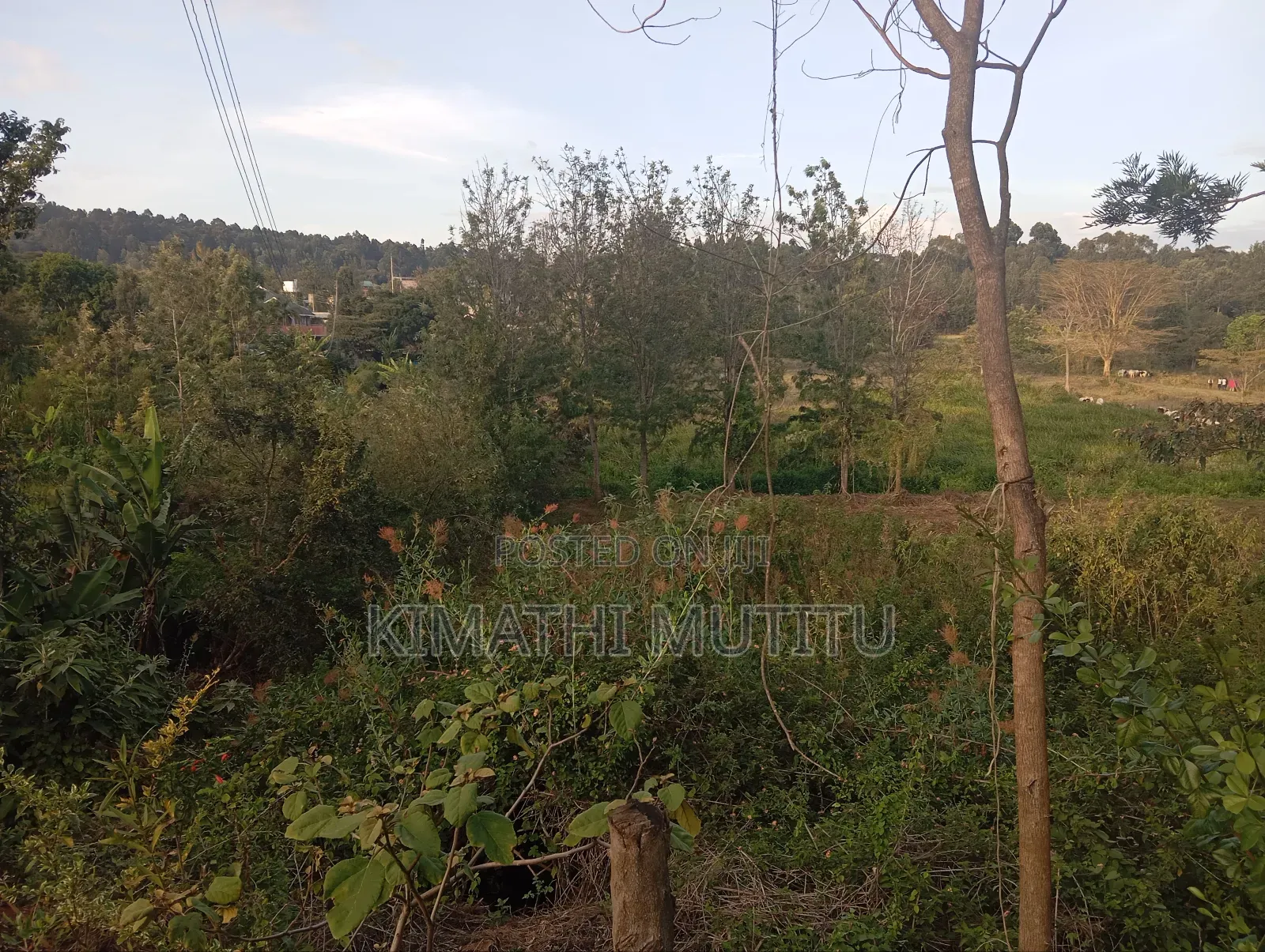 A Very Prime Residential 1 Acre Red Soil Land in Karen in Karen