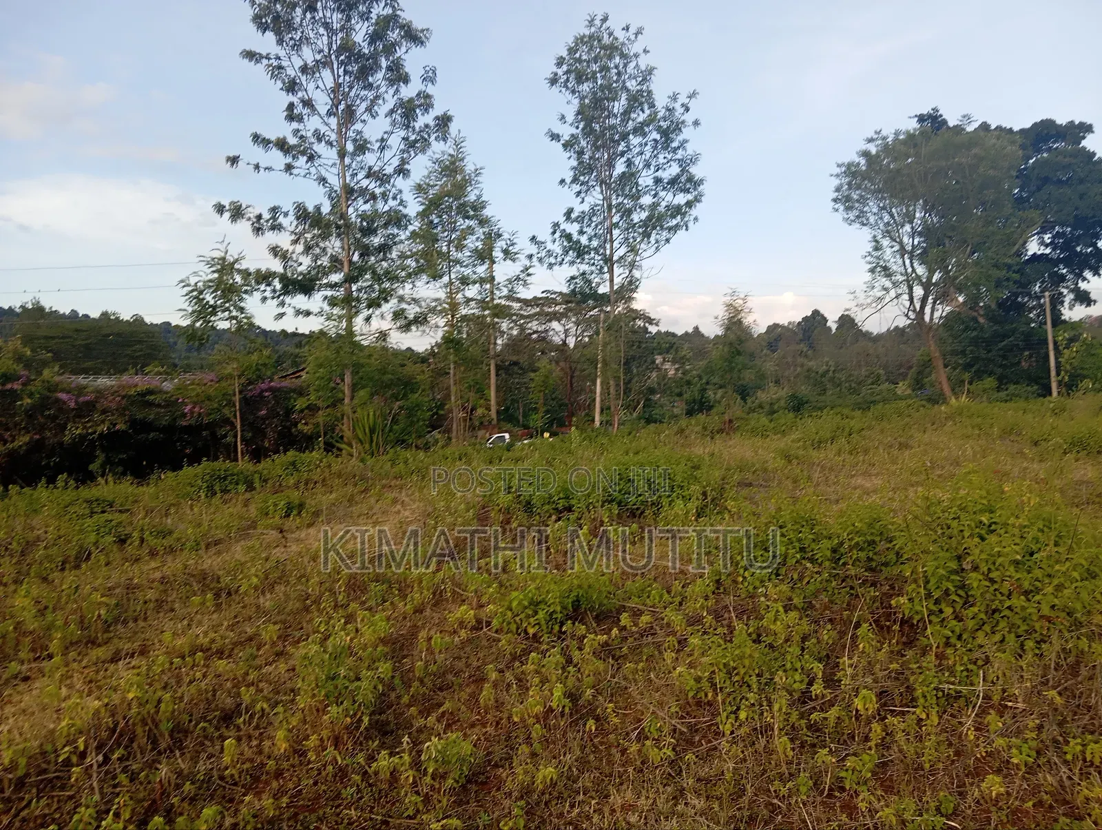 A Very Prime Residential 1 Acre Red Soil Land in Karen in Karen