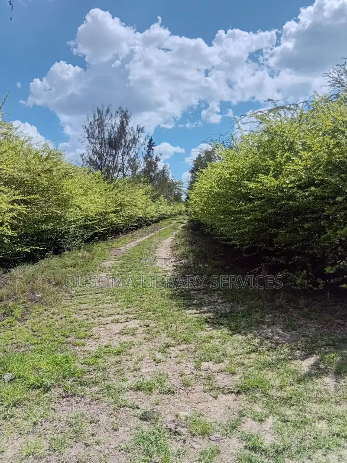 Prime Half-Acre Gem, Korompoi, Naisula, Kitengela Below Market Price in Kitengela