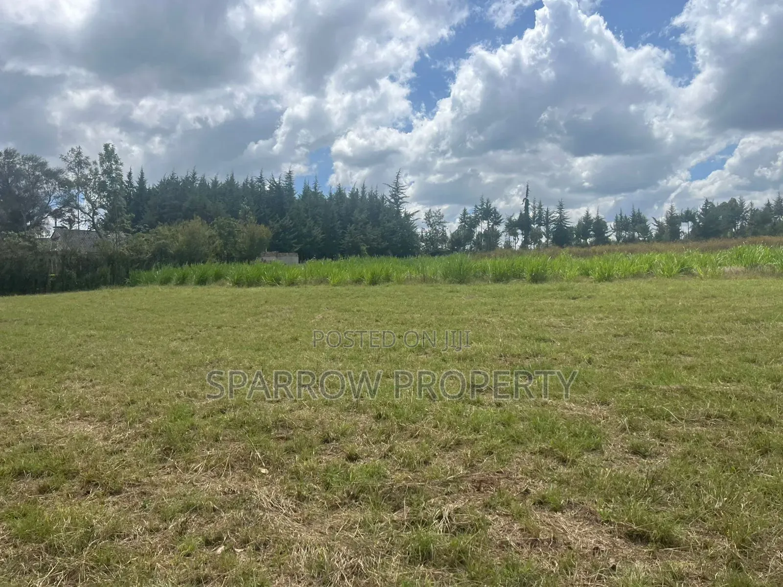 Land for Sale in Marmanet