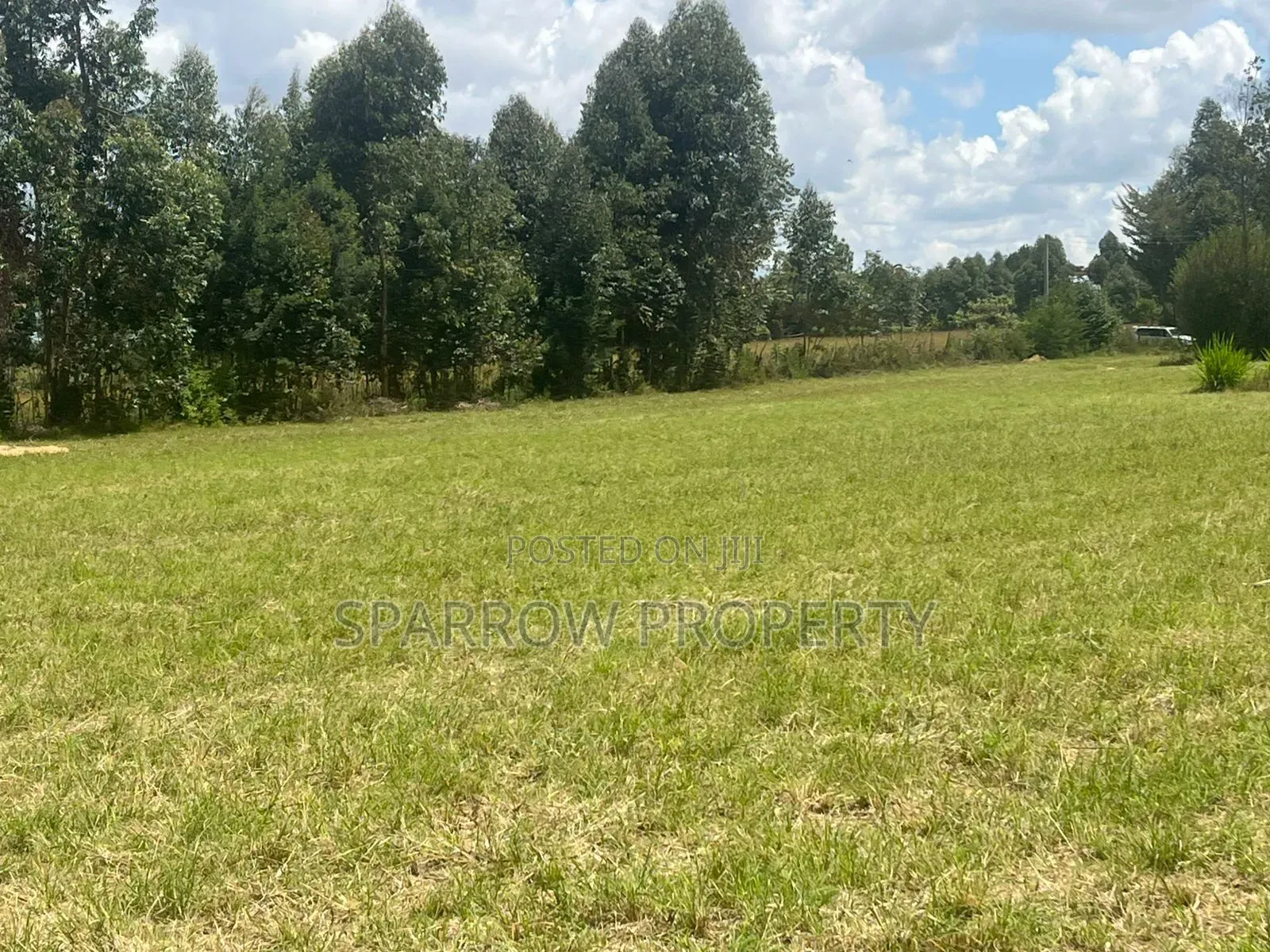 Land for Sale in Marmanet