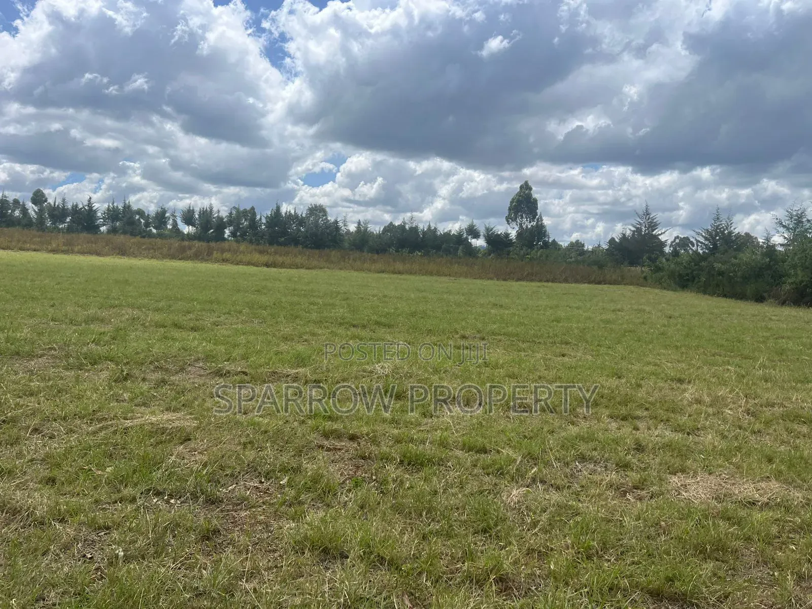 Land for Sale in Marmanet