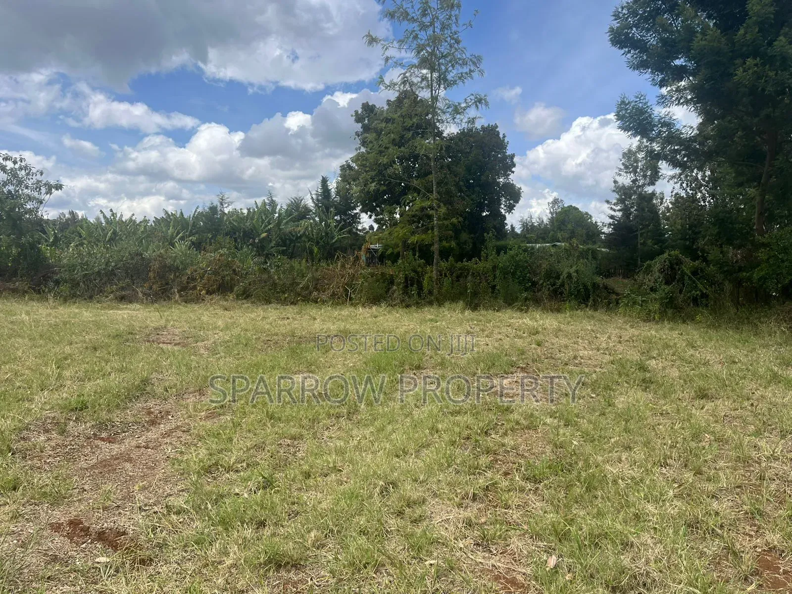 Land for Sale in Marmanet