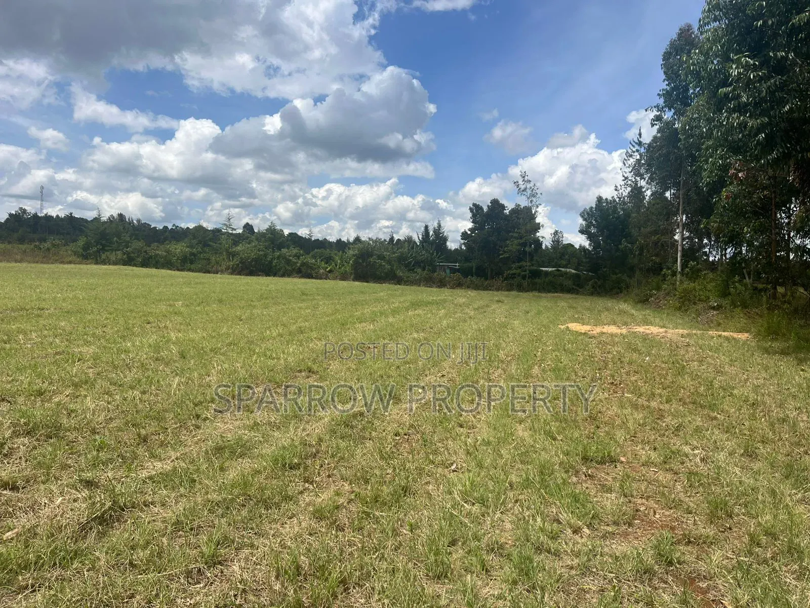 Land for Sale in Marmanet
