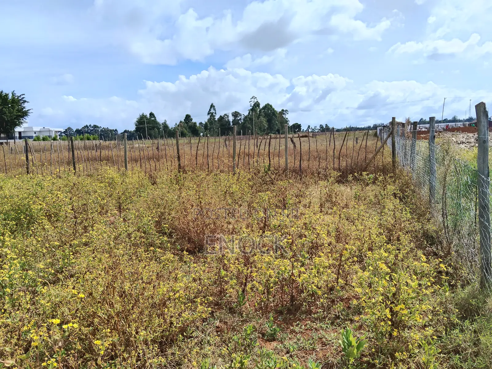 Eldoret Chepkanga Prime Plot Chemaluk in Kimumu