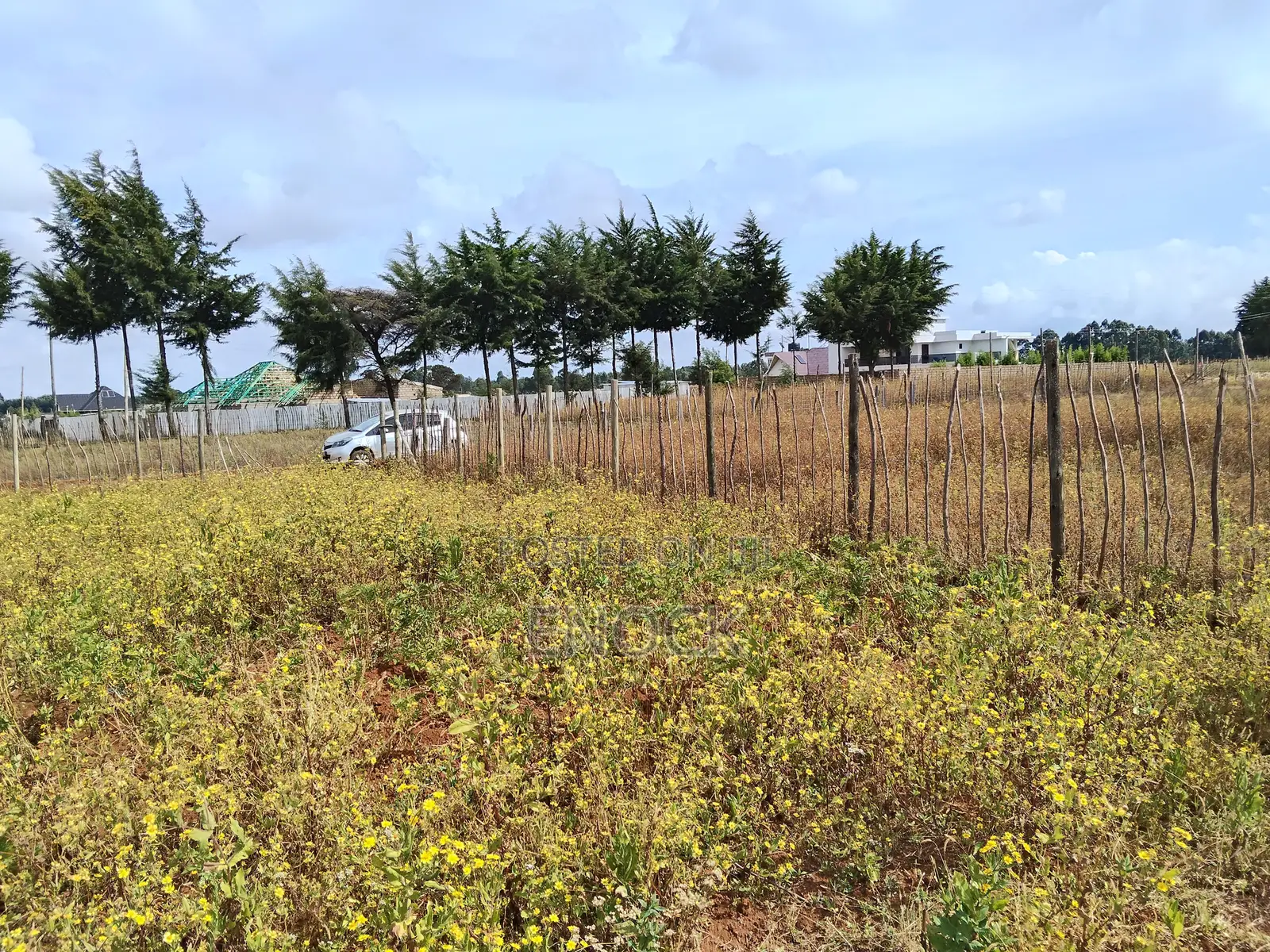 Eldoret Chepkanga Prime Plot Chemaluk in Kimumu