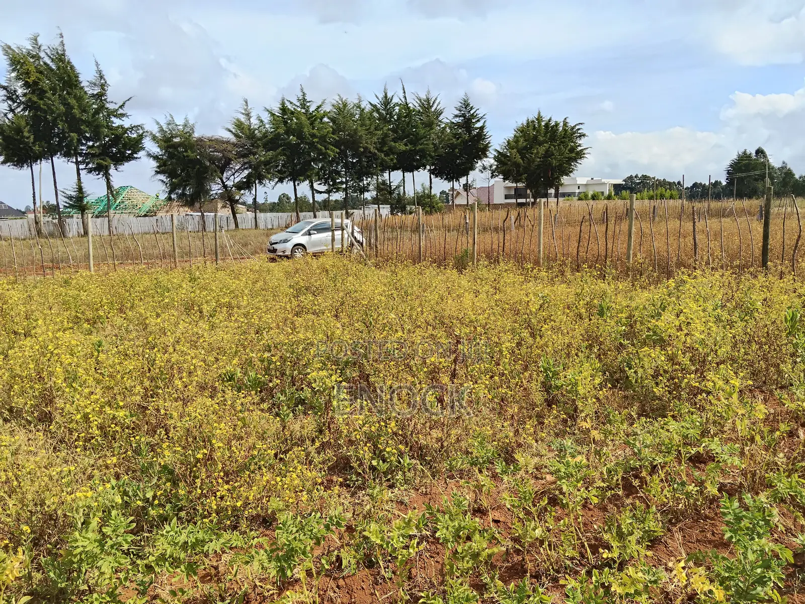 Eldoret Chepkanga Prime Plot Chemaluk in Kimumu