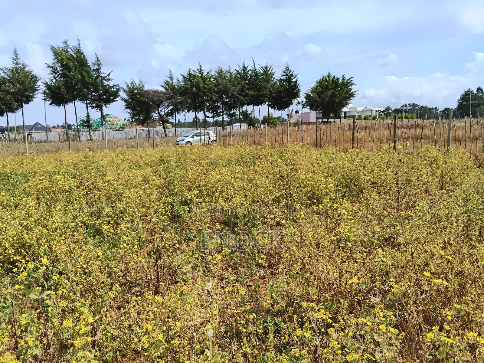 Eldoret Chepkanga Prime Plot Chemaluk in Kimumu
