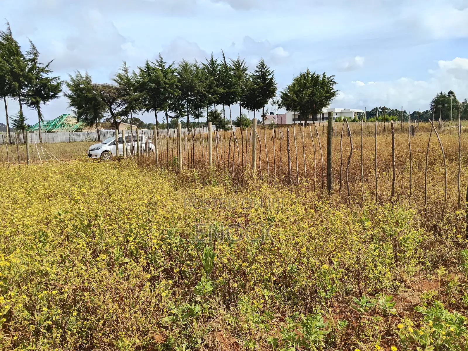 Eldoret Chepkanga Prime Plot Chemaluk in Kimumu