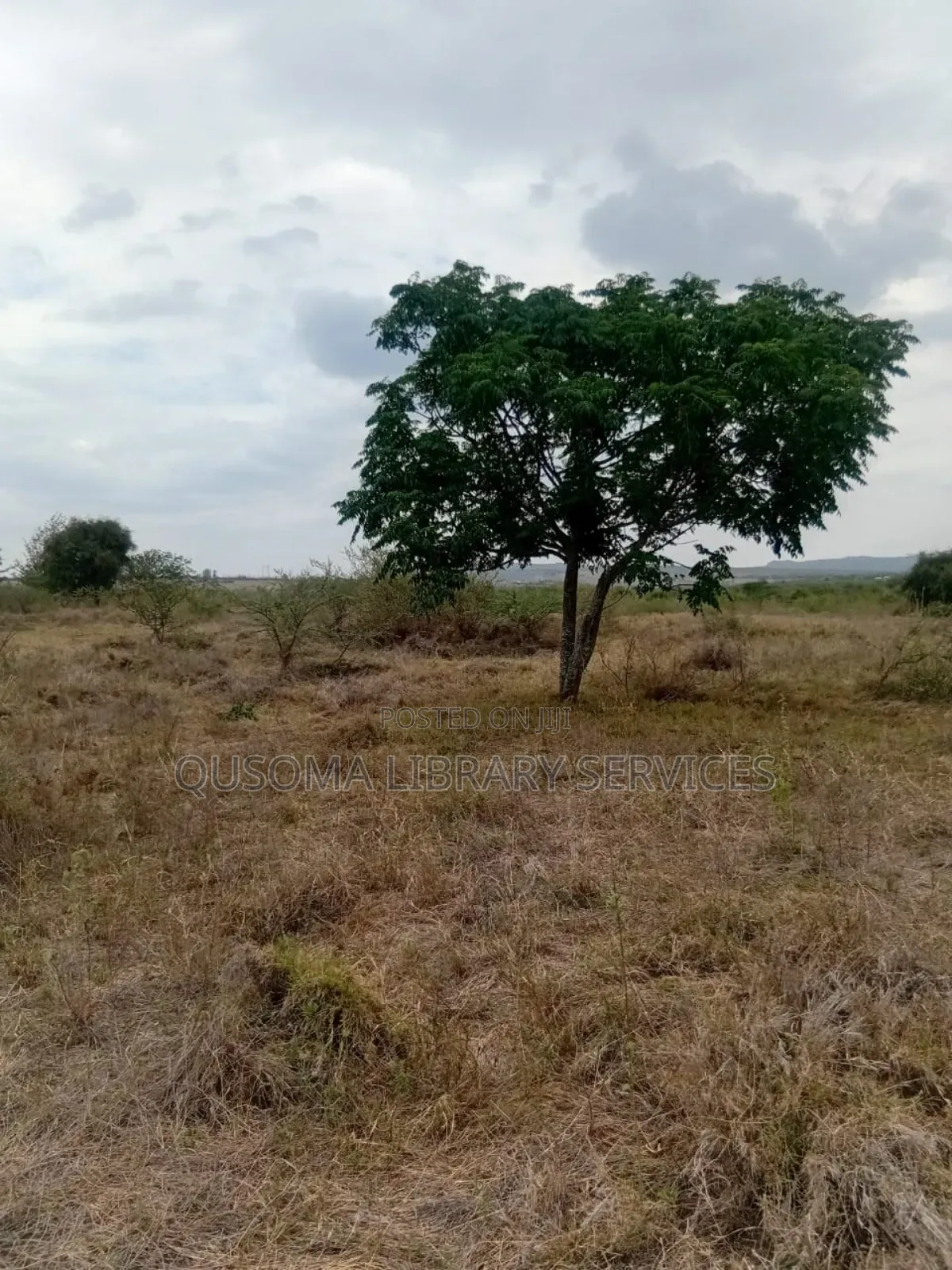 Best Deal Ever. 23 Plots at Kinanie, Machakos, Own Your Future Today in Kinanie