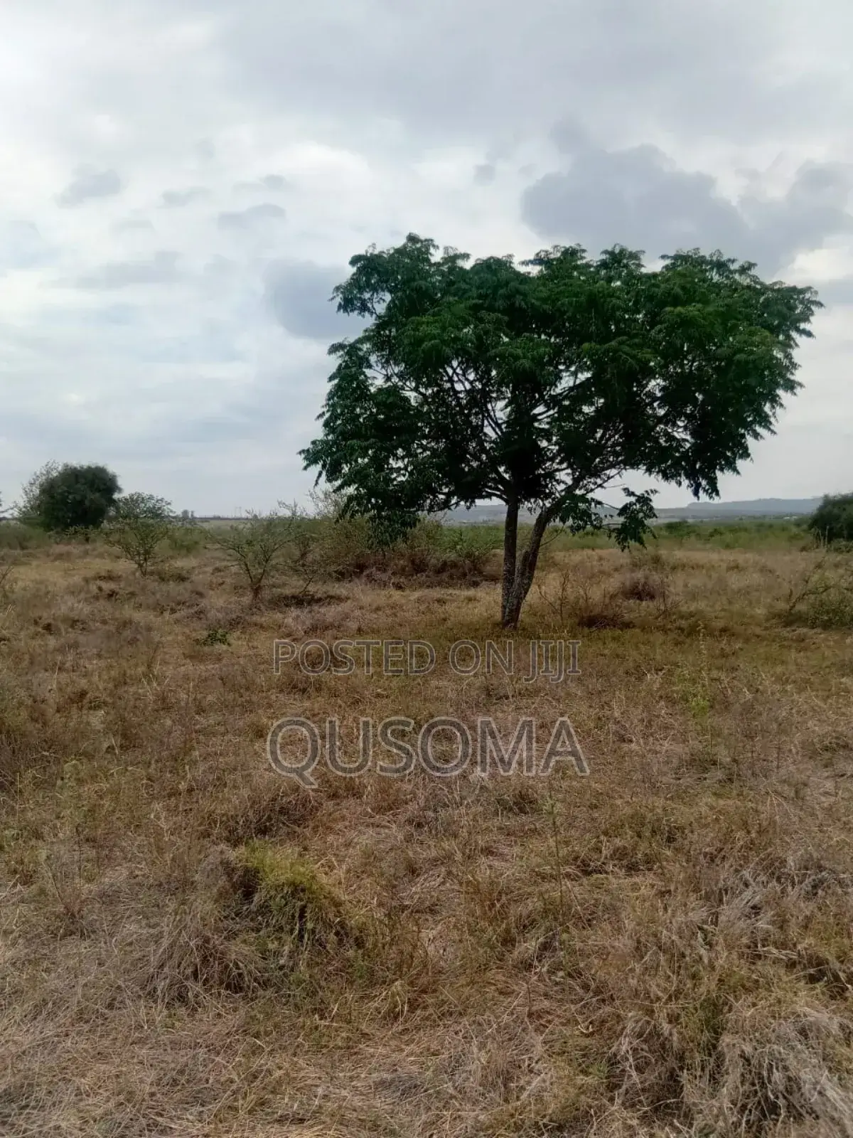 Best Deal Ever. 23 Plots at Kinanie, Machakos, Own Your Future Today in Kinanie