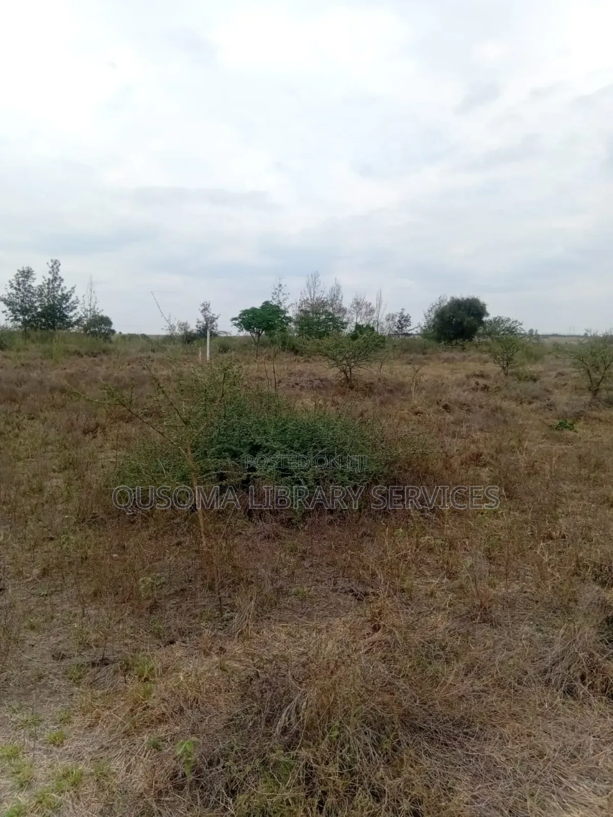 Best Deal Ever. 23 Plots at Kinanie, Machakos, Own Your Future Today in Kinanie