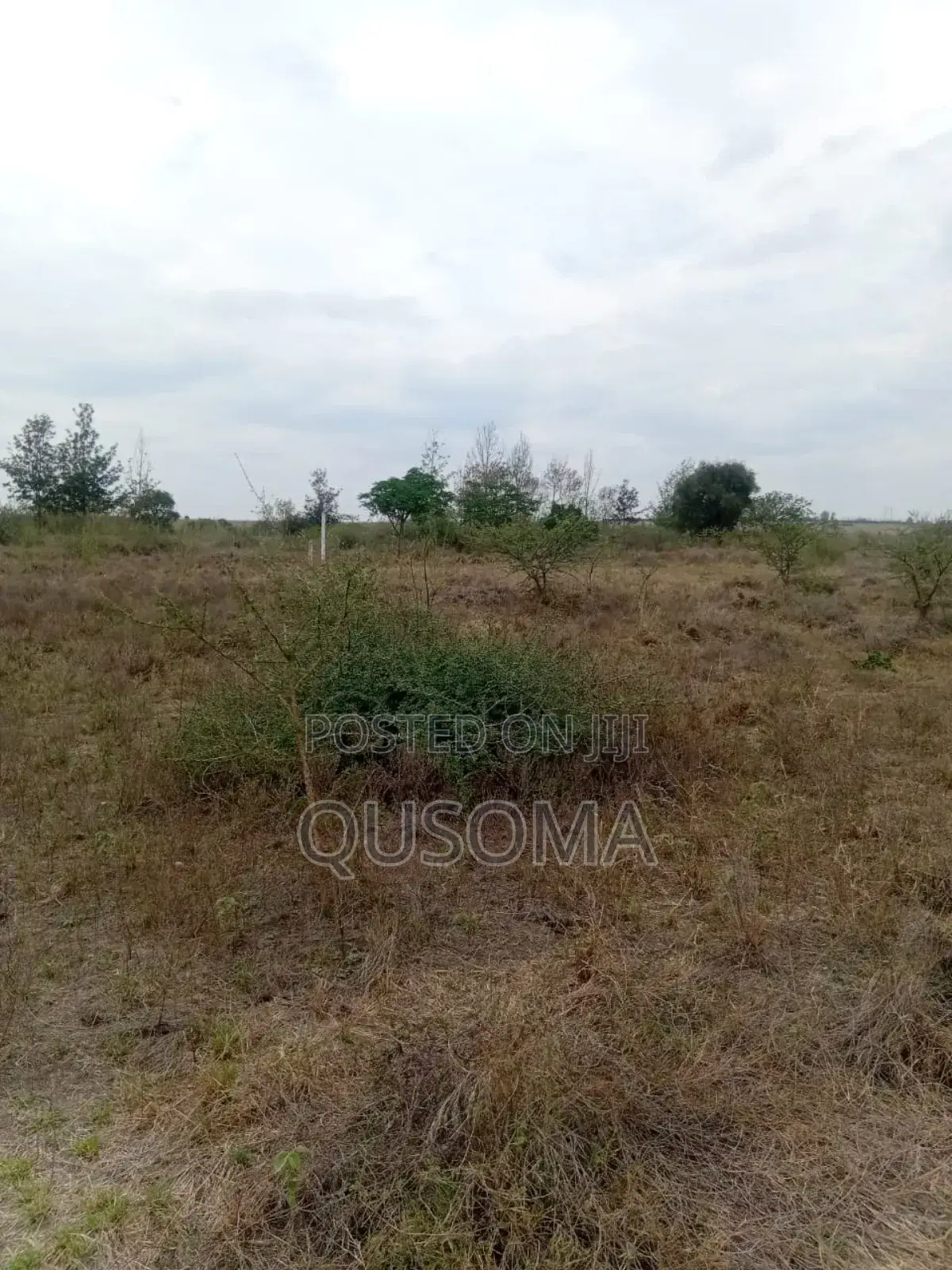 Best Deal Ever. 23 Plots at Kinanie, Machakos, Own Your Future Today in Kinanie