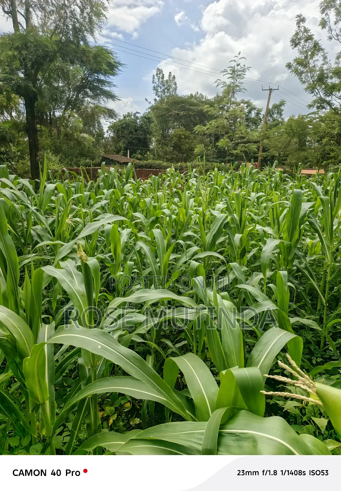 50 by 150 at Kathithyamaa in Tala