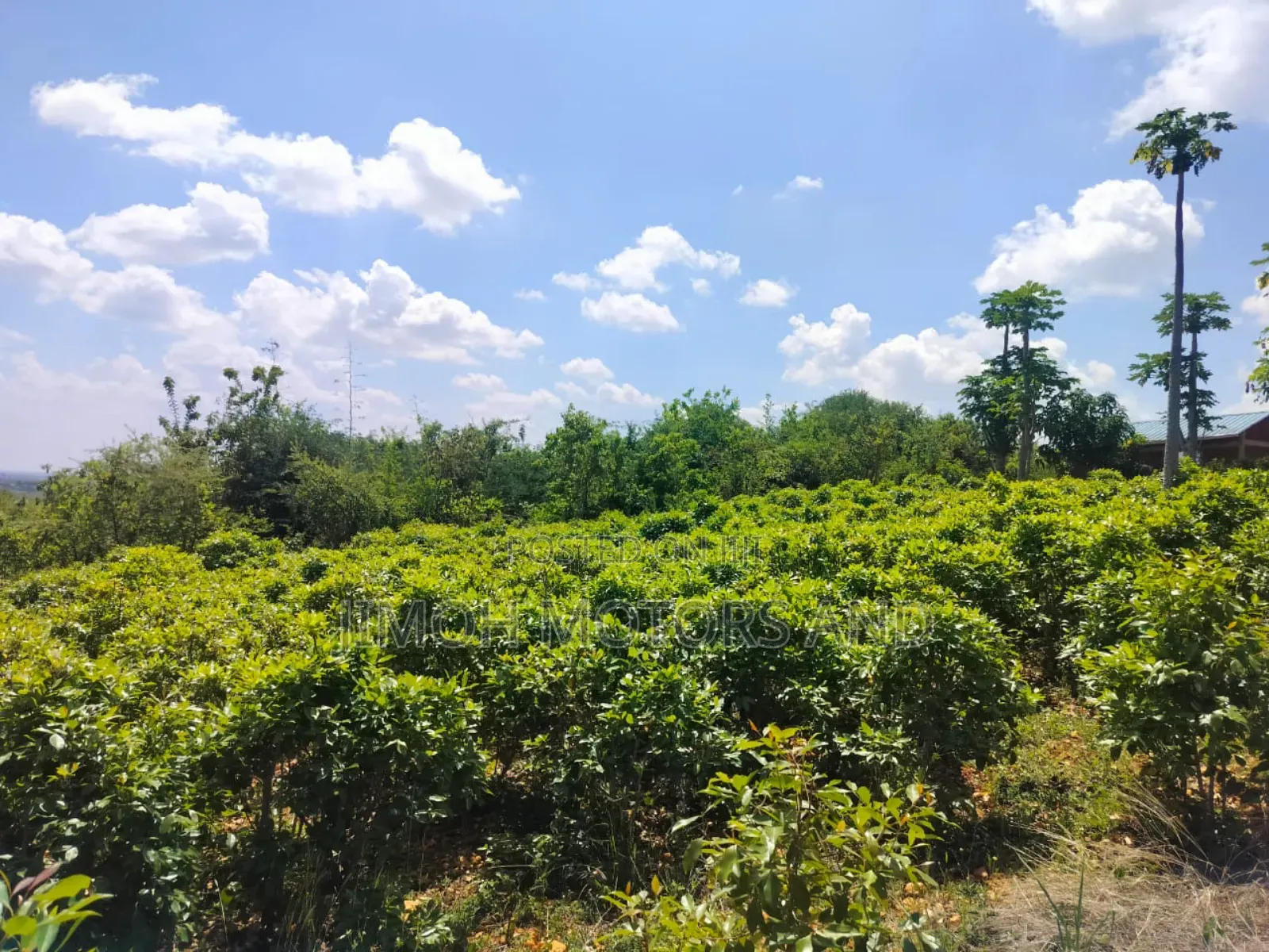 Half Acre in Gachoka, Embu. in Parklands/Highridge