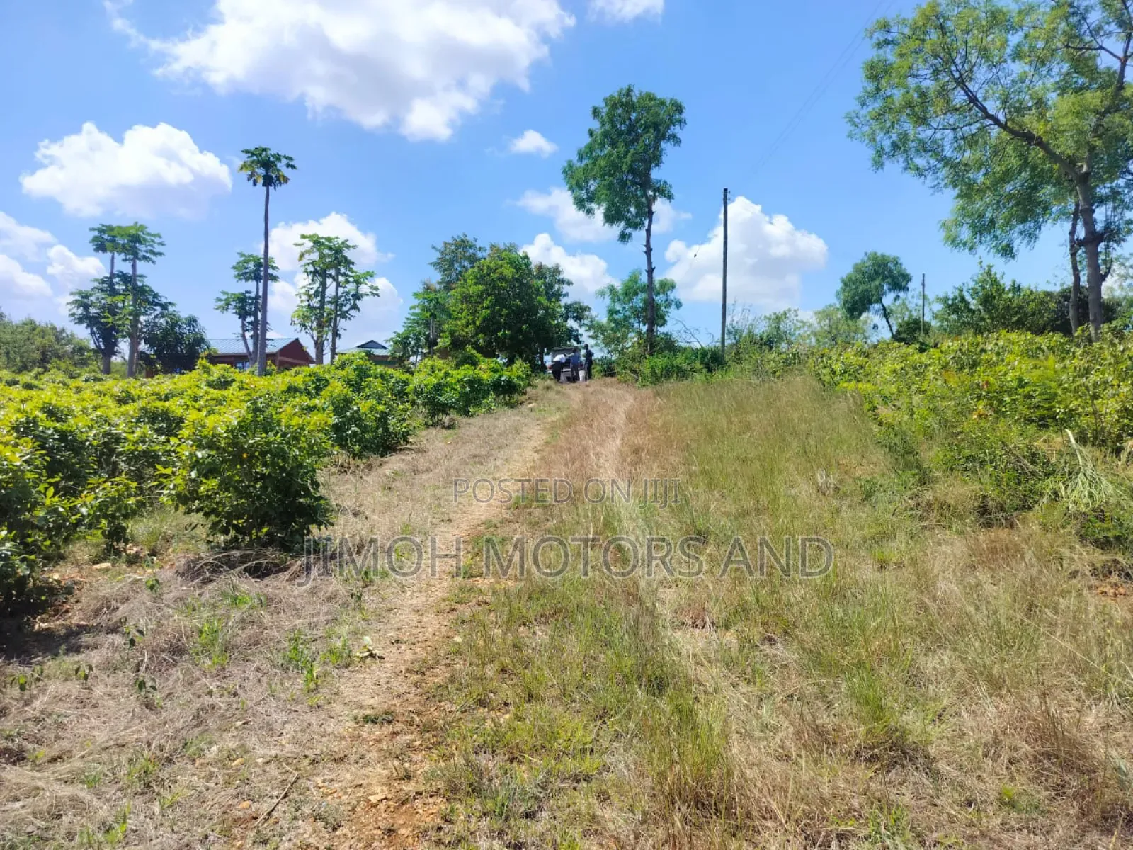 Half Acre in Gachoka, Embu. in Parklands/Highridge