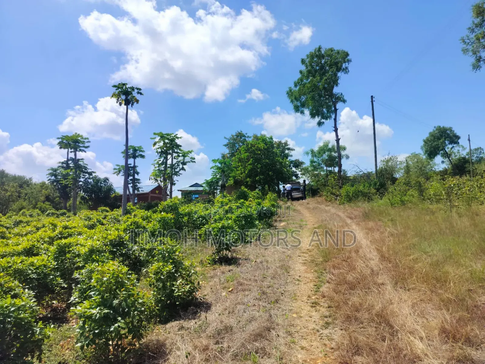 Half Acre in Gachoka, Embu. in Parklands/Highridge