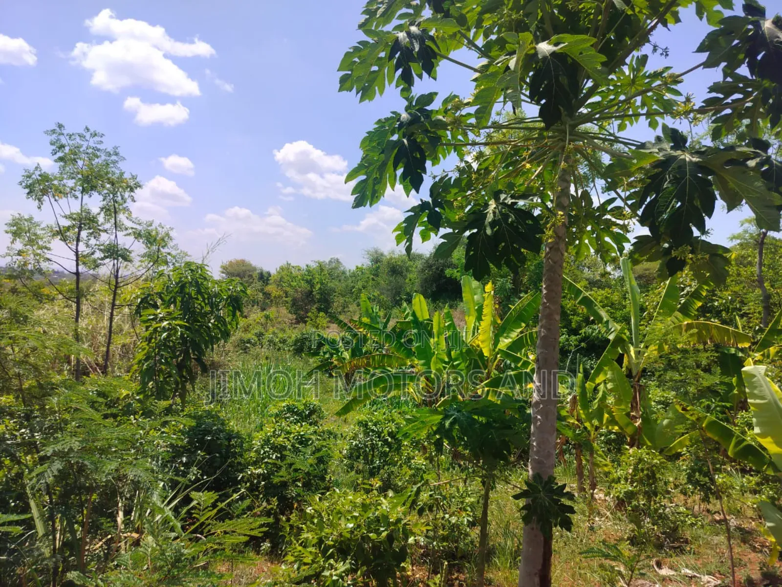 Half Acre in Gachoka, Embu. in Parklands/Highridge
