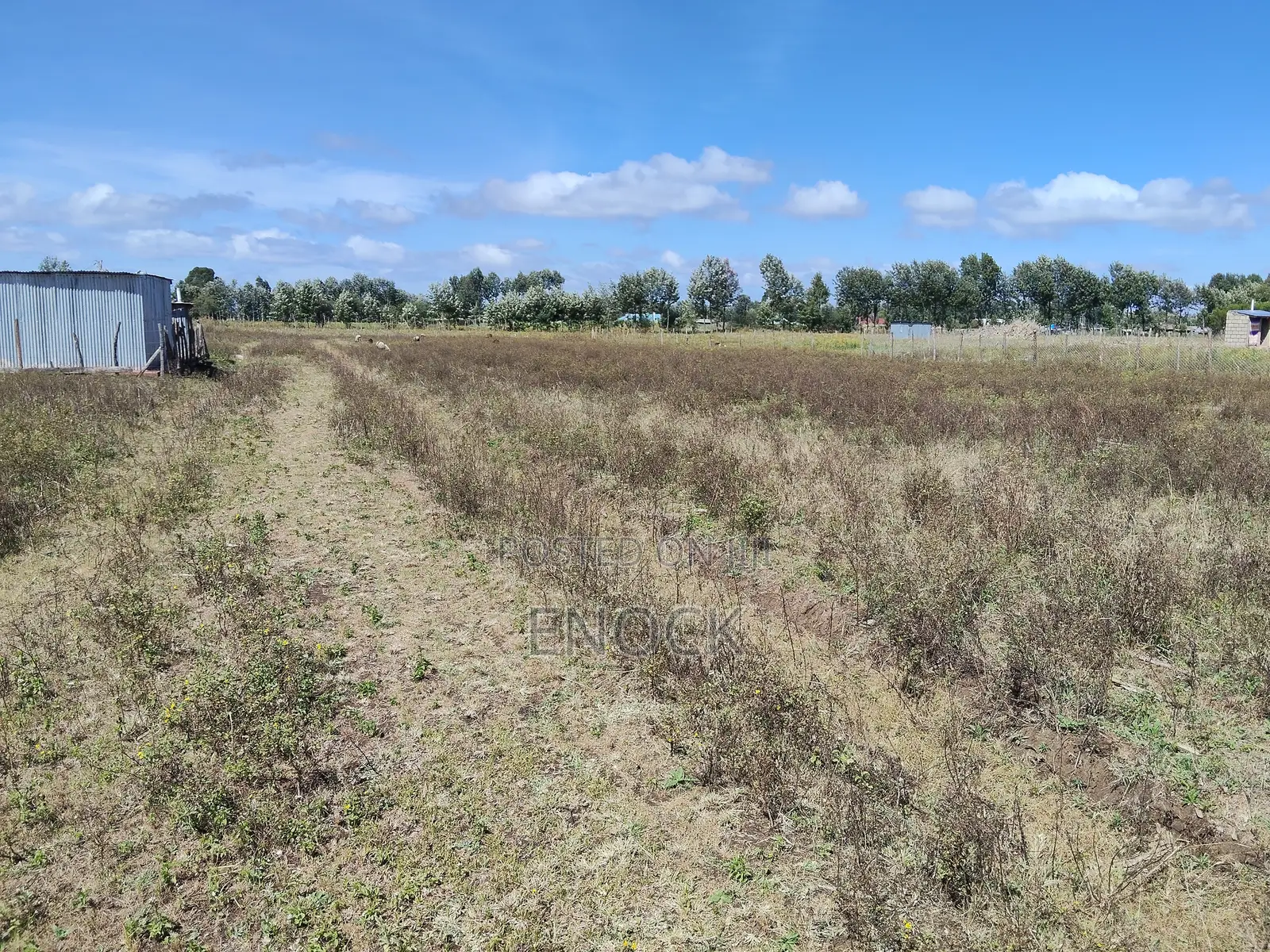 Chepkanga Plots Eldoret Near Centre in Kimumu