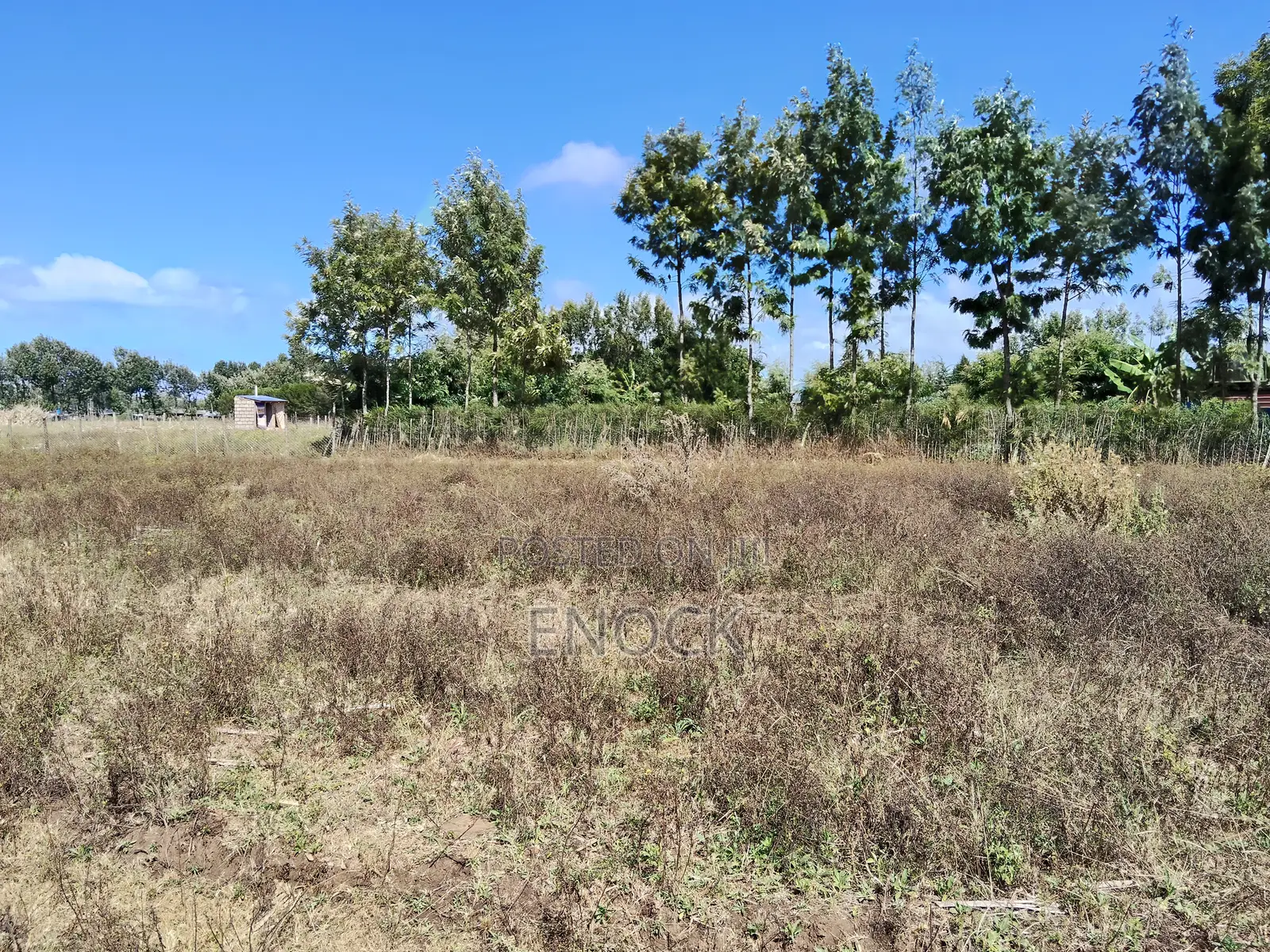 Chepkanga Plots Eldoret Near Centre in Kimumu