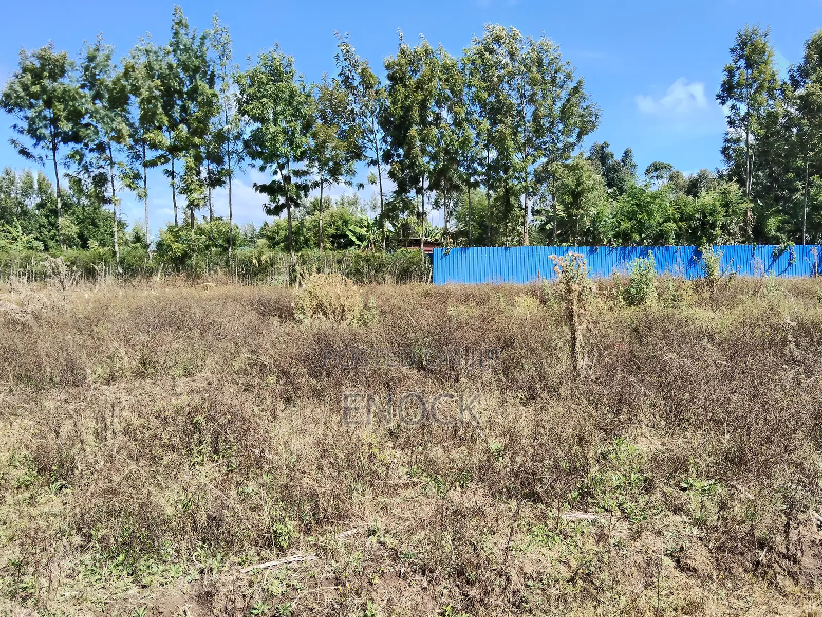 Chepkanga Plots Eldoret Near Centre in Kimumu