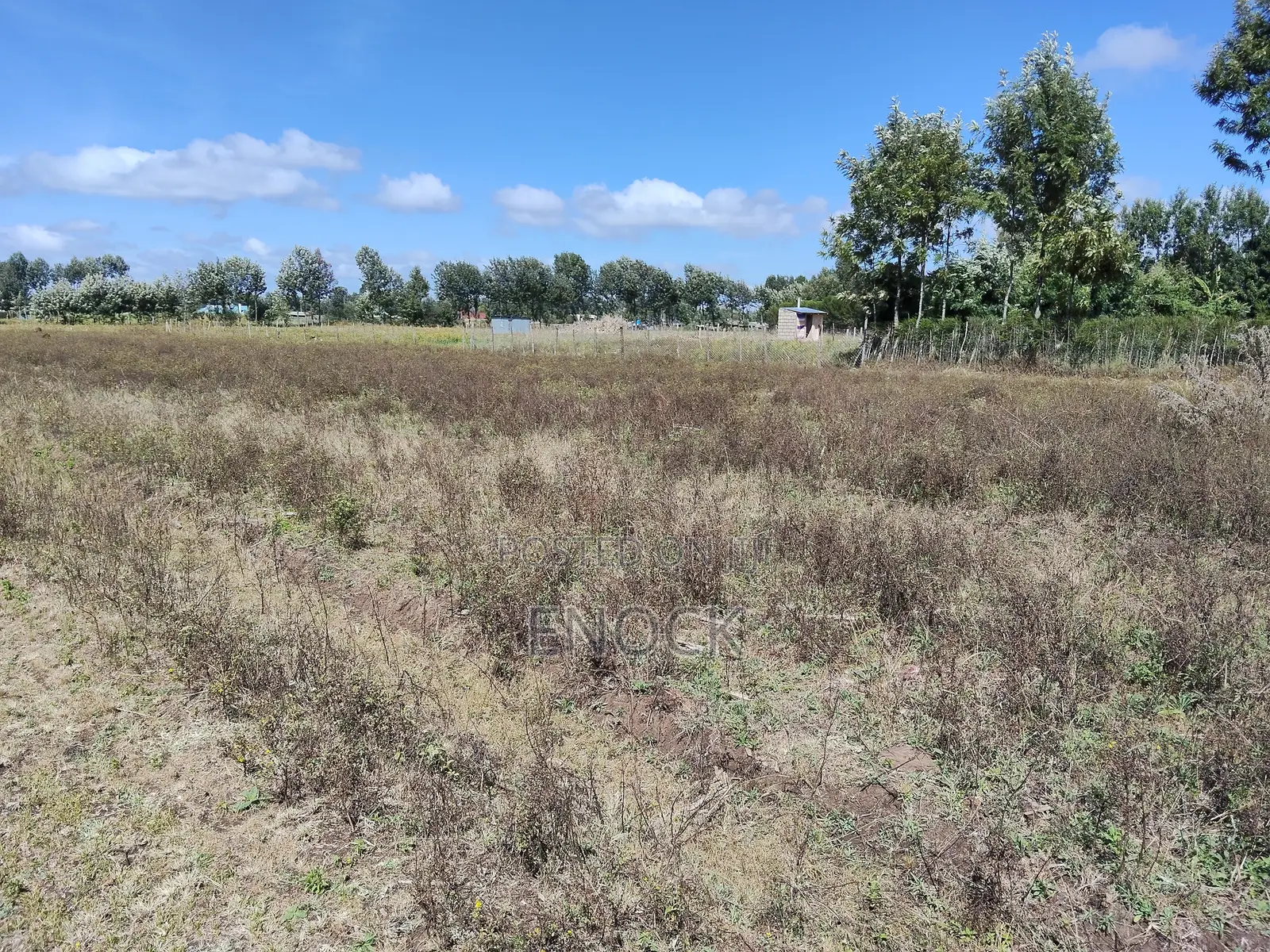 Chepkanga Plots Eldoret Near Centre in Kimumu