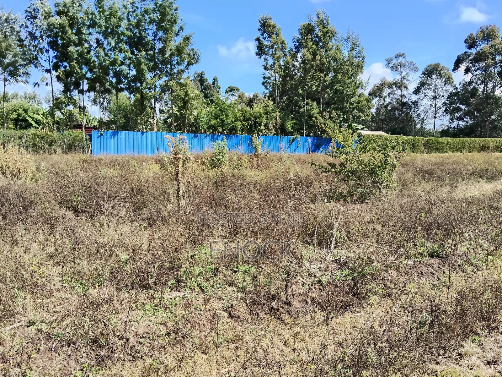 Chepkanga Plots Eldoret Near Centre in Kimumu