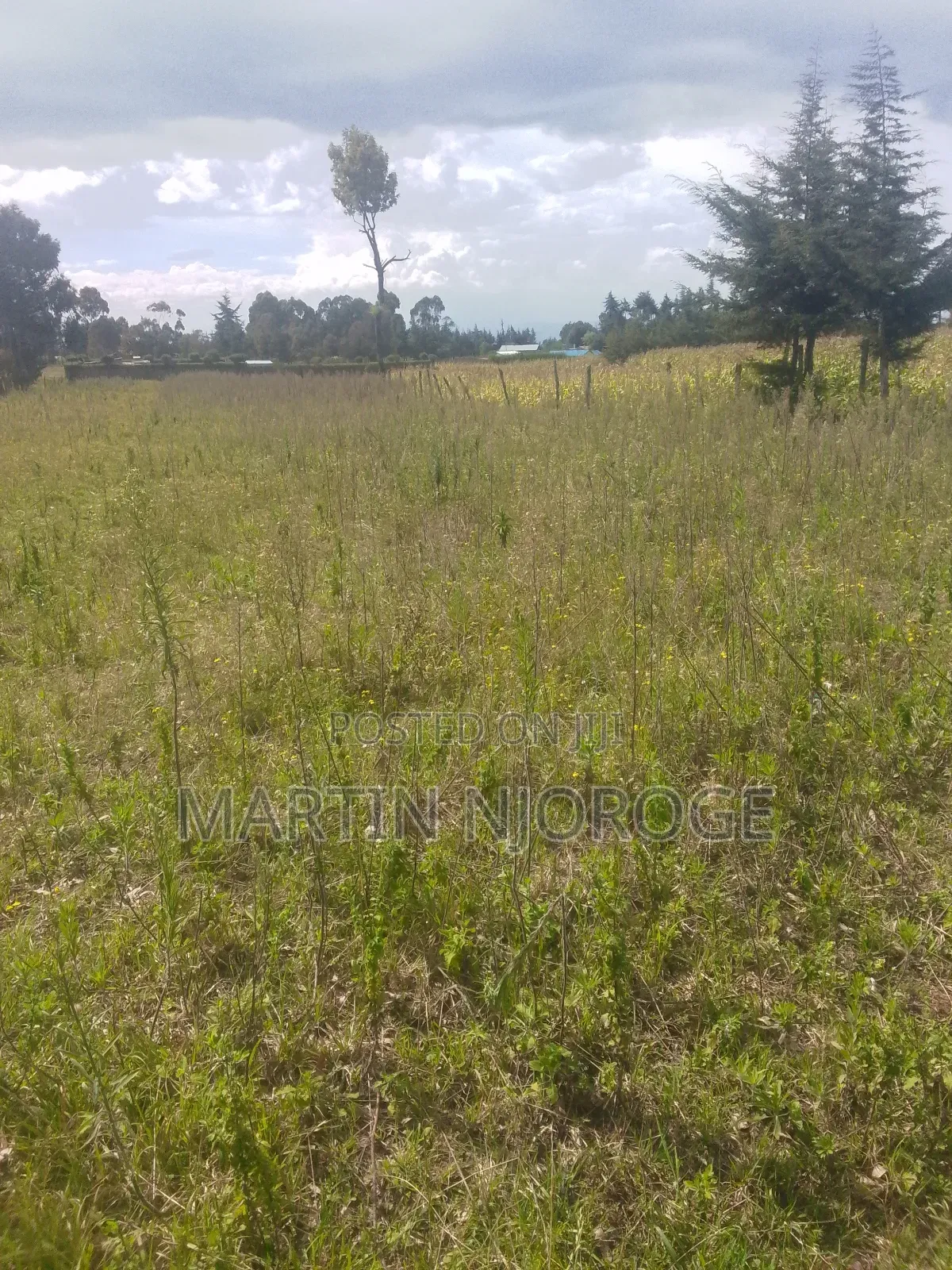 10 Acres Mwendandu in Magumu