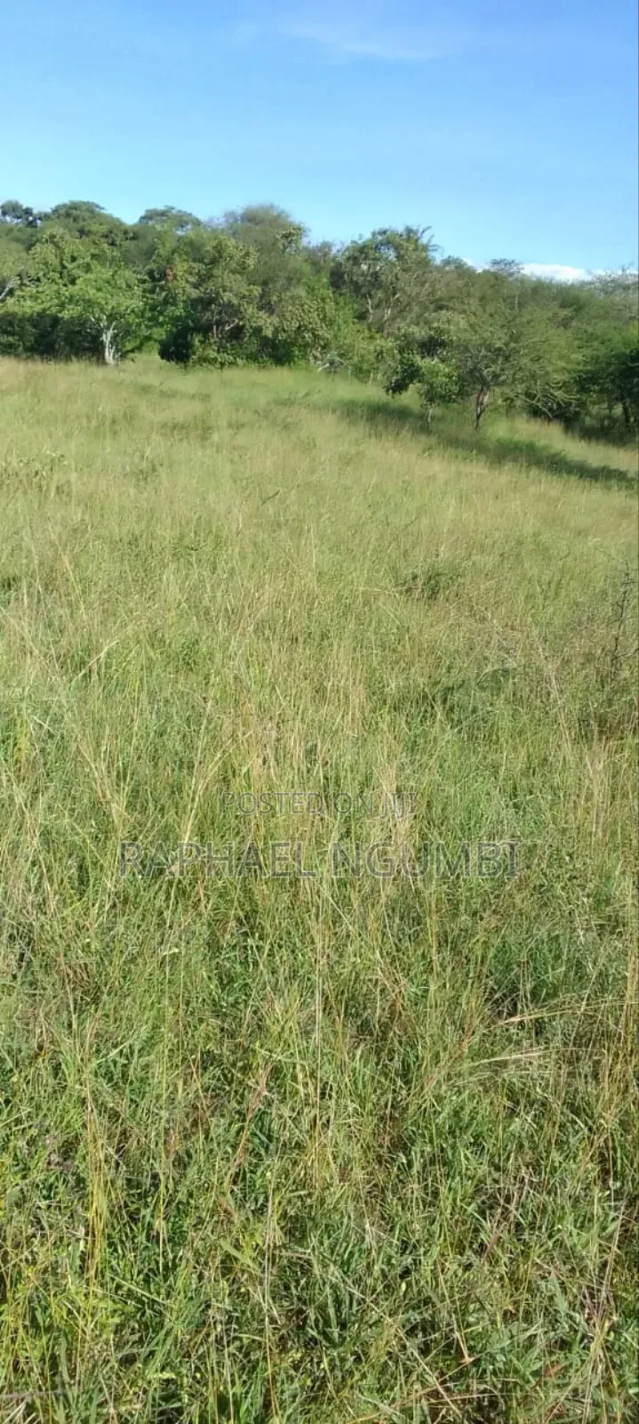 Five (5) Acres at Maanzoni Machakos Touching Mombasa Road Tarmac in Machakos Town