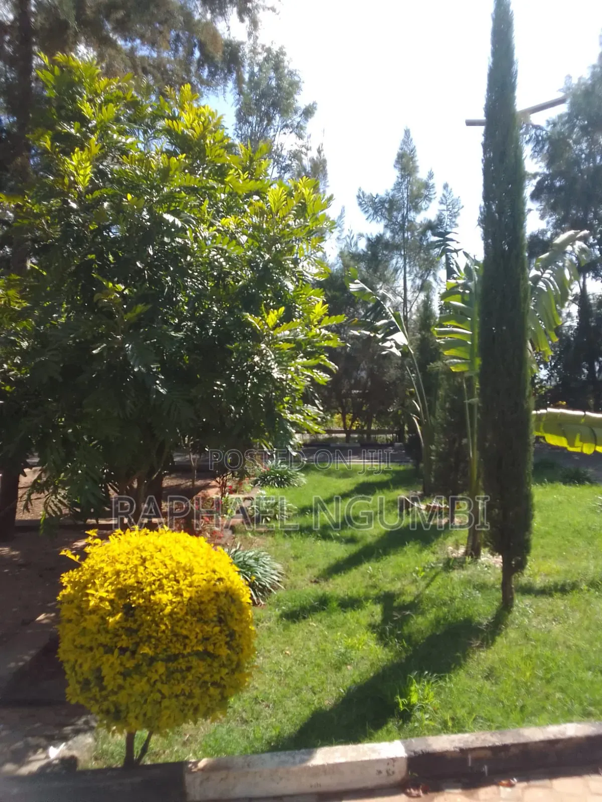 Furnished 5bdrm House in Mua for sale in Mua